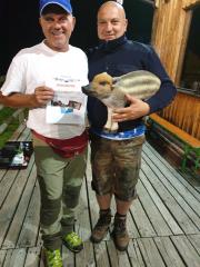 Nočna lokostrelska tekma na kmetiji Slapnik 3